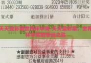 天天盈彩票世界杯中奖-天天盈彩票，世界杯中奖的幸运之匙