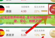 支付宝买世界杯体彩-支付宝购彩世界杯，便捷、安心、创新之选