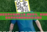 微信世界杯赌球怎么赌-明智参与，解锁微信世界杯观赛新体验的合法路径