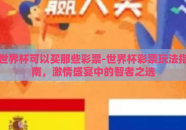 世界杯可以买那些彩票-世界杯彩票玩法指南，激情盛宴中的智者之选