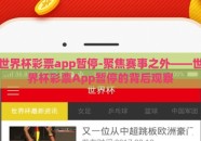 世界杯彩票app暂停-聚焦赛事之外——世界杯彩票App暂停的背后观察