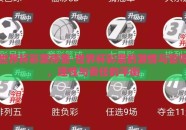世界杯彩票停售-世界杯彩票的激情与暂停，理性与责任的平衡