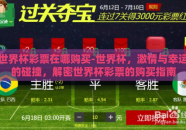 世界杯彩票在哪购买-世界杯，激情与幸运的碰撞，解密世界杯彩票的购买指南