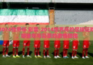 2014世界杯 彩票-2014世界杯的足球狂欢，那些年与彩票的激情碰撞