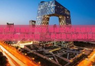 世界杯竞猜彩票网站-探秘世界杯竞猜彩票网站的魅力与风险，一场智慧与机遇的交汇