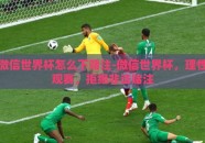 微信世界杯怎么下赌注-微信世界杯，理性观赛，拒绝非法赌注