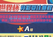 微信天天中彩票世界杯-微信天天中彩票世界杯，小概率的喜悦与娱乐的微妙平衡