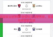 微信投注世界杯-微信投注与世界杯，乐趣与风险的交织
