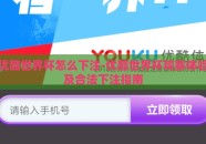 优酷世界杯怎么下注-优酷世界杯观赛体验及合法下注指南