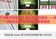 天天彩票买世界杯-踏上梦想的赛场——解读天天彩票与世界杯的激情碰撞