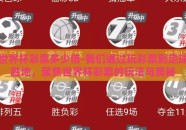 世界杯彩票多少倍-我们通过玩彩票到足球胜地，聚焦世界杯彩票的玩法与奥秘