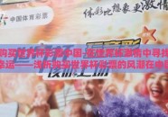 购买世界杯彩票中国-在世界杯激情中寻找幸运——浅析购买世界杯彩票的风潮在中国