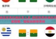 微信世界杯体彩怎么买-微信世界杯体彩购买指南，轻松玩转世界杯