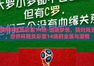 世界杯胜负彩票14场-追逐梦想，猜对风云，世界杯胜负彩票14场的全景与激情