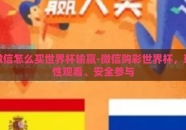 微信怎么买世界杯输赢-微信购彩世界杯，理性观看、安全参与