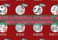 世界杯买彩票如何算钱-踏上绿茵赛场，如何精确计算世界杯期间的彩票收益
