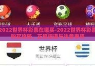 2022世界杯彩票在哪买-2022世界杯彩票购买攻略，正规渠道与注意事项