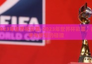2023年世界杯彩票-2023年世界杯彩票，数字与梦想的碰撞