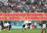 网上去哪买世界杯彩票-网上购彩指南，智选平台，谨慎下注——世界杯期间的安全购彩攻略