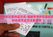 世界杯彩票购买方式-揭秘世界杯彩票的多种购买方式与注意事项