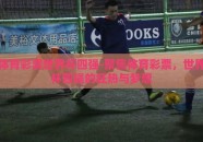 体育彩票世界杯四强-聚焦体育彩票，世界杯四强的狂热与梦想