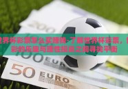 世界杯彩票怎么买赚钱-了解世界杯彩票，博彩的乐趣与理性投资之间寻找平衡