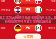 支付宝怎么赌球世界杯-健康赌途绕行，正确观看世界杯与支付宝的合法用法