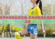 世界杯网售彩票无望-世界杯网售彩票前景之迷