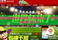 世界杯彩票中奖结果-世界杯彩票，梦想与现实的交汇点