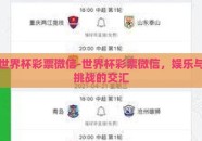 世界杯彩票微信-世界杯彩票微信，娱乐与挑战的交汇