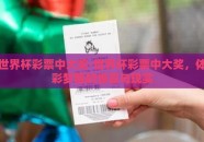 世界杯彩票中大奖-世界杯彩票中大奖，体彩梦醒的惊喜与现实