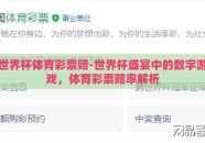 世界杯体育彩票赔-世界杯盛宴中的数字游戏，体育彩票赔率解析