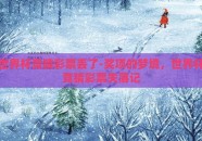 世界杯竞猜彩票丢了-奖项的梦境，世界杯竞猜彩票失落记