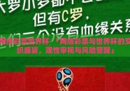 网络彩票世界杯-「网络彩票与世界杯的交织盛宴，理性审视与风险警醒」