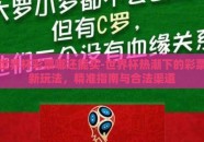 世界杯彩票哪还能买-世界杯热潮下的彩票新玩法，精准指南与合法渠道