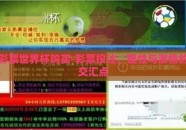 彩票世界杯购买-彩票投注，理性与激情的交汇点