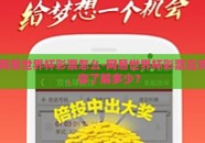 网易世界杯彩票怎么-网易世界杯彩票应用，你了解多少？