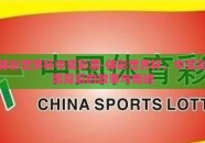 体彩世界杯中奖彩票-体彩世界杯，中奖彩票背后的故事与奇迹