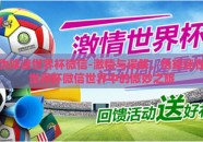 伪球迷世界杯微信-激情与误解，伪球迷在世界杯微信世界中的微妙之旅
