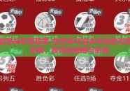 世界杯彩票股票-世界杯与资本市场的交响，彩票、股票的碰撞与影响