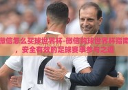 微信怎么买球世界杯-微信购球世界杯指南，安全有效的足球赛事参与之道