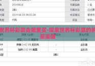 世界杯彩票去哪里买-探索世界杯彩票的购买渠道