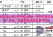微信怎么投注世界杯-微信，世界杯投注指南，安全、便捷的足球盛宴参与方式