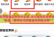 支付宝购买世界杯彩票-支付宝购买世界杯彩票，数字时代的便捷与风险并存