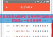 世界杯彩票去哪里买-探寻世界杯彩票的购买渠道，一份详尽指南