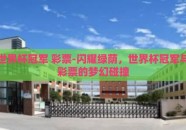 世界杯冠军 彩票-闪耀绿荫，世界杯冠军与彩票的梦幻碰撞