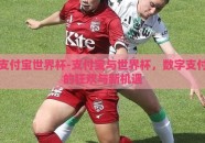 支付宝世界杯-支付宝与世界杯，数字支付的狂欢与新机遇