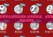 世界杯彩票玩法说明-世界杯彩票，全攻略与玩法解析