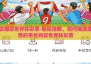 去哪买世界杯彩票-轻松指南，如何挑选理想的平台购买世界杯彩票