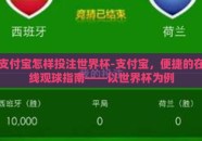 支付宝怎样投注世界杯-支付宝，便捷的在线观球指南——以世界杯为例